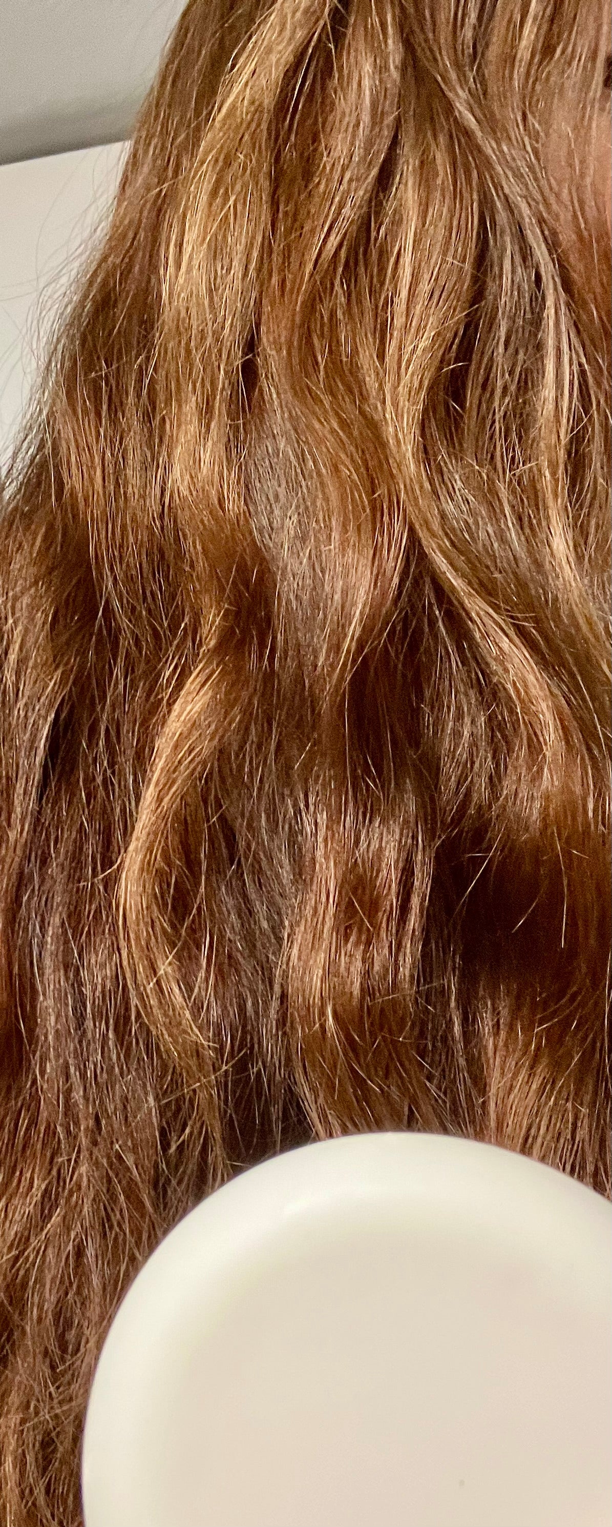 Artisan Shampoo & Conditioner Bar
